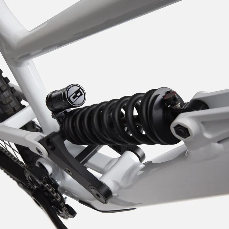 Rossignol DH Project Downhill Mountain Bike