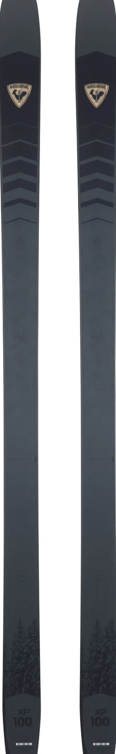 Unisex Nordic Backcountry Skis XP 100 Positrack